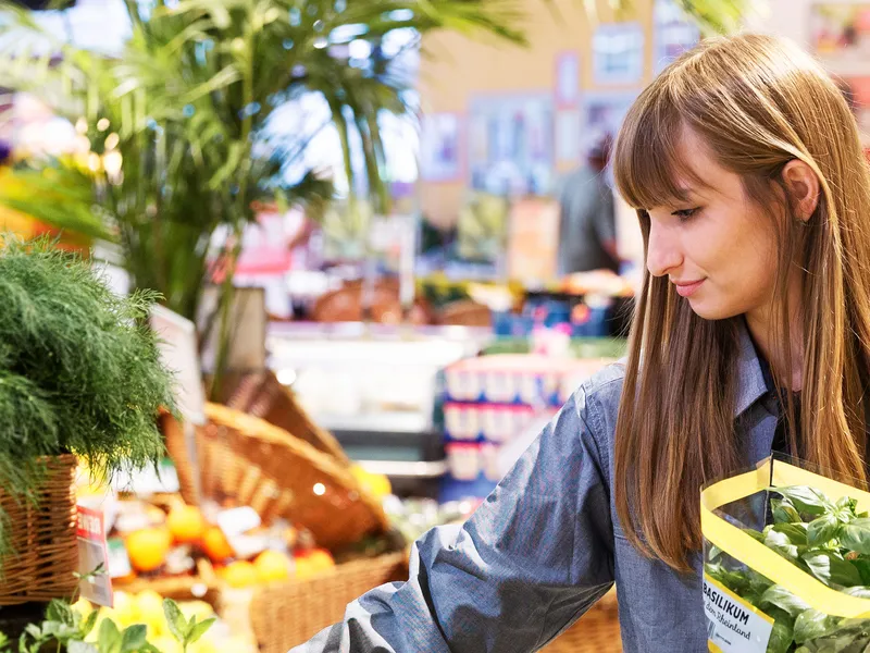 Eine REWE Auszubildende zum Kaufmann im Einzelhandel raeumt Produkte ein